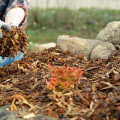 Essential Tips for Winter Mulching in Your Garden