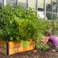 The Advantages of Raised Beds for Effective Garden Maintenance