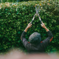 Enhance Your Garden with Expert Hedge Trimming in Newville