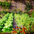 The Benefits of Organic Gardening Practices for Effective Garden Maintenance