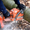 Enhance Garden Health with Professional Tree Care