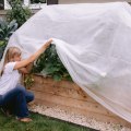 Effective Strategies for Protecting Your Garden from Extreme Weather