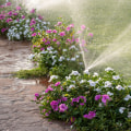 Optimal Timing for Watering Your Garden: A Guide to Effective Garden Maintenance