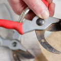 Essential Tips for Cleaning and Maintaining Your Pruning Shears for Optimal Garden Maintenance