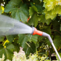 Enhancing Garden Maintenance Through Effective Watering Techniques