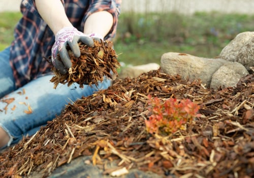 Essential Tips for Winter Mulching in Your Garden
