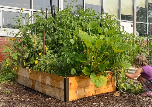 The Advantages of Raised Beds for Effective Garden Maintenance