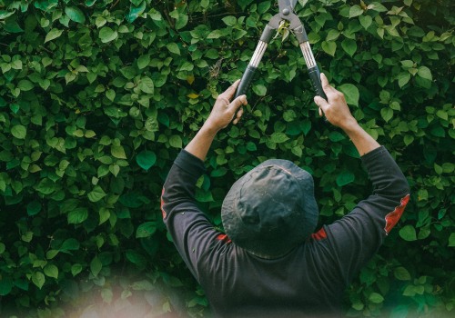Enhance Your Garden with Expert Hedge Trimming in Newville