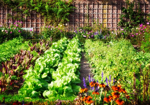 The Benefits of Organic Gardening Practices for Effective Garden Maintenance