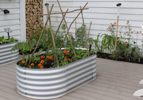 Effective Strategies for Preventing Overwatering in Your Garden