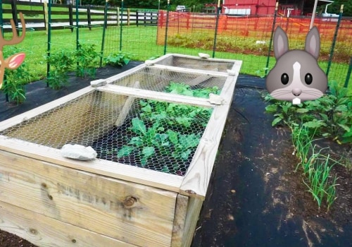 Effective Strategies for Protecting Your Garden from Animals and Pests