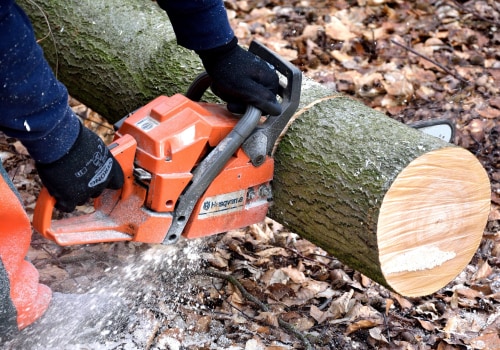 Enhance Garden Health with Professional Tree Care