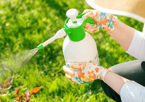 Why Pest Prevention Starts With Better Garden Maintenance Practices