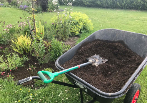 Maximizing Garden Maintenance with Mulch: Techniques and Benefits