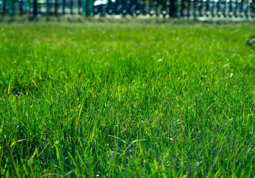 Enhance Your Landscape with Expert Lawn Care in Portland