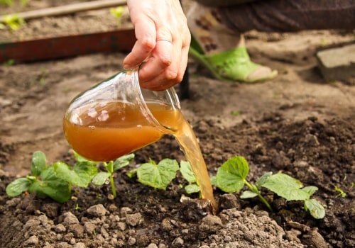 Choosing the Right Fertilizer for Your Vegetable Garden: A Guide to Effective Garden Maintenance