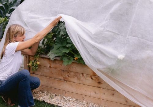 Effective Strategies for Protecting Your Garden from Extreme Weather