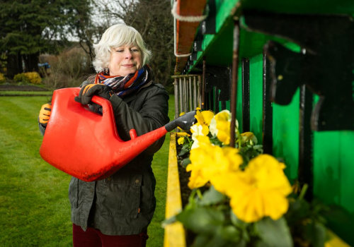 Top Garden Maintenance Mistakes and How to Avoid Them