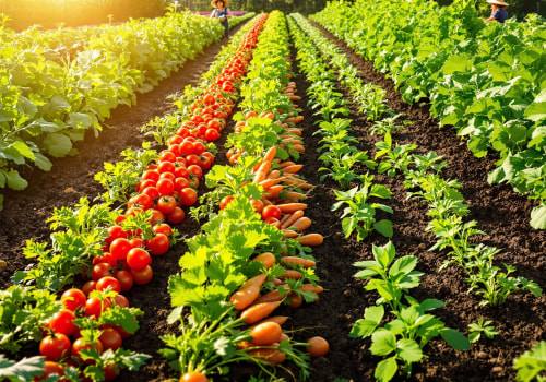 Effective Strategies for Preventing Disease Spread in Your Garden