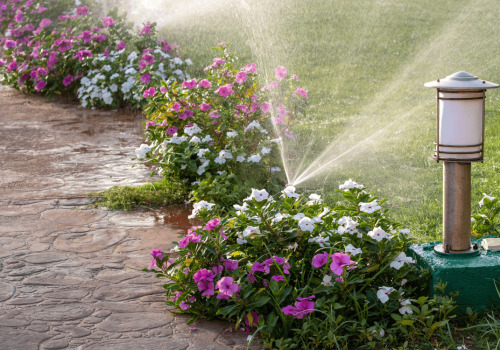 Optimal Timing for Watering Your Garden: A Guide to Effective Garden Maintenance