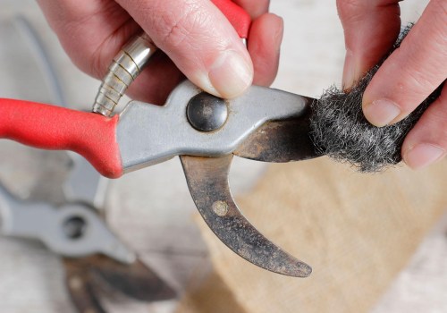 Essential Tips for Cleaning and Maintaining Your Pruning Shears for Optimal Garden Maintenance