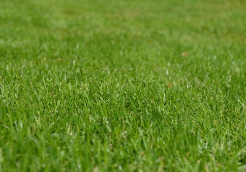 Expert Lawn Care and Garden Maintenance in Loudoun County