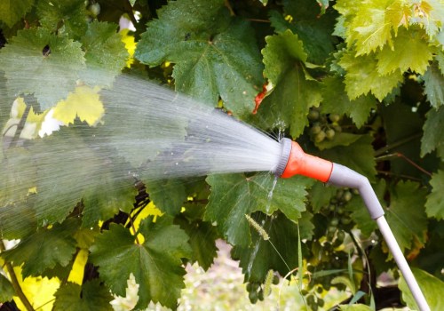 Enhancing Garden Maintenance Through Effective Watering Techniques