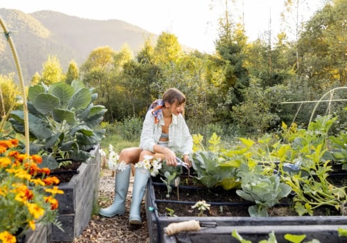 Natural Pest Control Methods for Effective Garden Maintenance